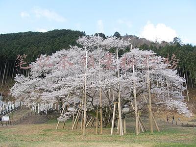 笔记本销量排行榜