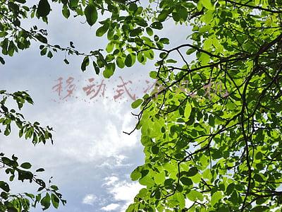 移动式冷风机