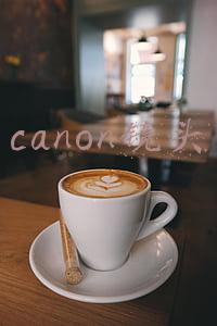 canon镜头