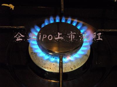 企业ipo上市流程