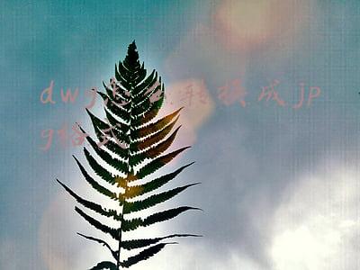 dwg怎么转换成jpg格式