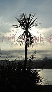 51网贷排名