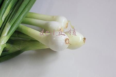 dell直销