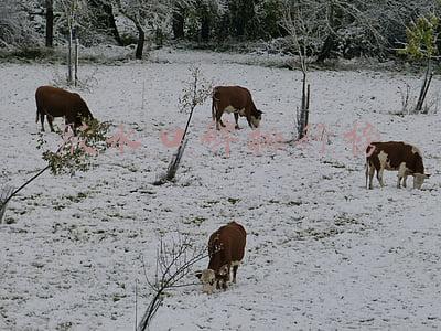 胶水口碑排行榜