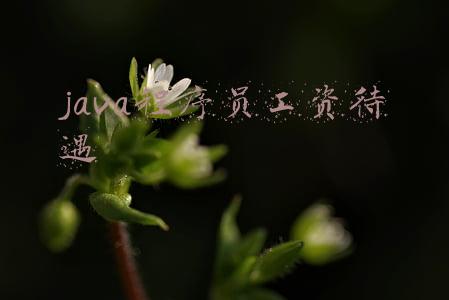java工程师工资待遇(Java开发转测开后，他的薪资从8k到14k，就业结果远超预期)