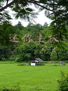 迷你主板