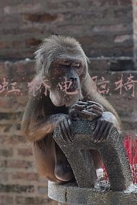 昆山虹桥医院电话(2018昆山最新便民通讯录快收藏！)