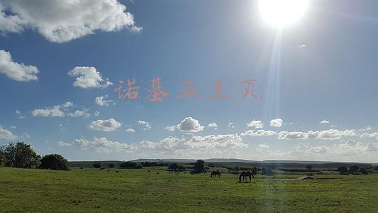 诺基亚主营业务(向前看 微软/诺基亚收购完成之事新观)