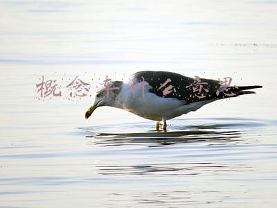 概念车的意义何在(大国战略！新能源汽车，对我们到底意味着什么？)