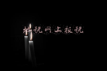 地税网上报税