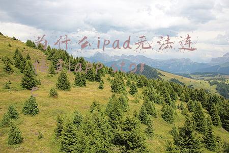 为什么ipad无法连接到app store