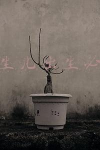 新生儿出生必备