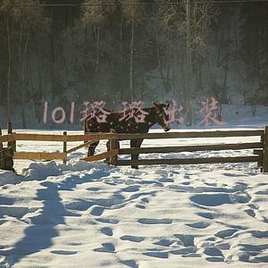 lol璐璐出装