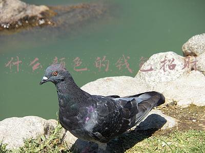什么颜色的钱包招财