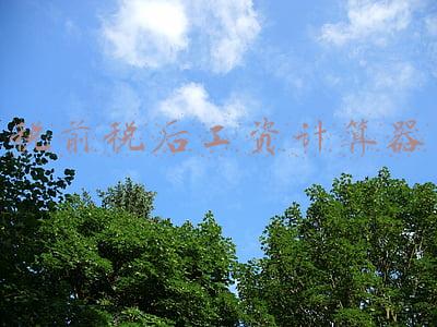 税前税后工资计算器2021(2021年最新编制工资管理系统，自动计算个税和工资条，方便实用)