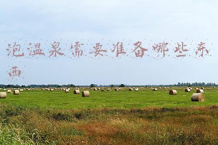 小孩子泡温泉需要准备哪些东西(3岁孩子泡温泉险些丧命！这几种情况，别带孩子泡温泉了)