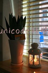 unicode转换