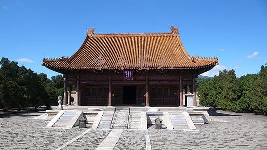 京东签到