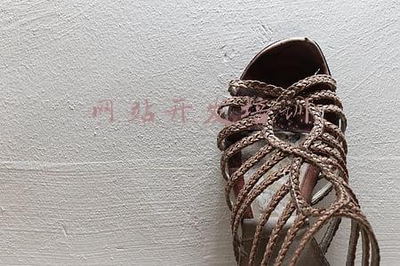 网站开发培训