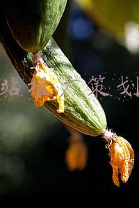 网站推广策划书