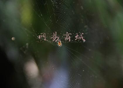 网易商城