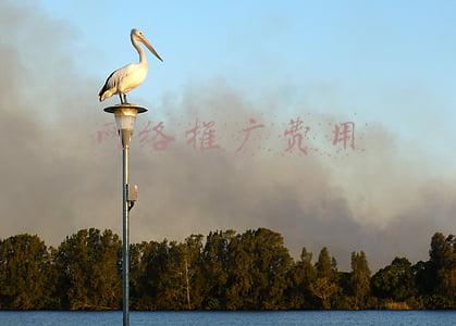 网络推广费用会计分录(公司将产品用于市场推广会计分录怎么写？)