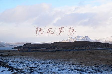 阿瓦罗萨