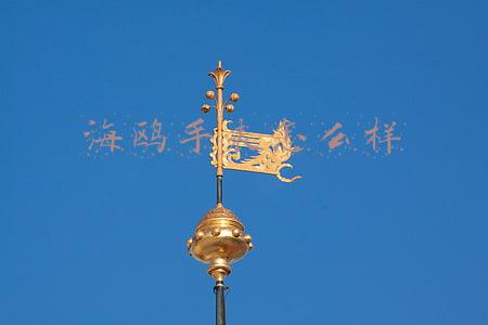 海鸥手表怎么样