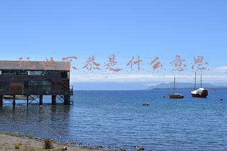 灯红酒绿纸醉金迷玩世不恭是什么意思(商太宗商文王太甲)
