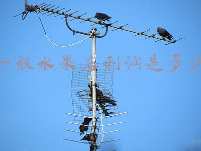 一般水果店利润是多少