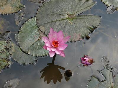 漏洞管理