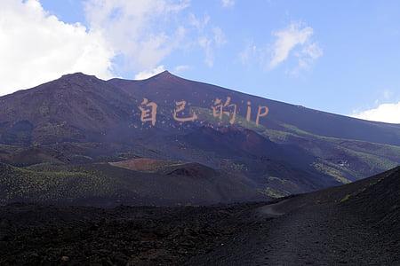 自己的ip