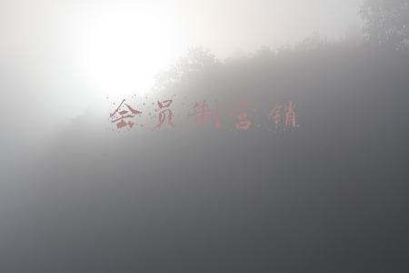 会员制营销
