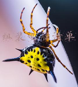 组装电脑清单
