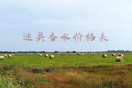 迪奥香水价格(「1018|严选」限时特惠的迪奥香水口红套装，便宜到尖叫)