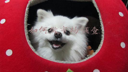 如何做市场调查分析确定选址(17年经验专业选址师给您的3大选址建议！干货)
