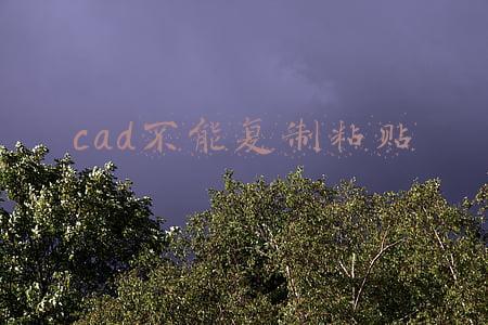 cad不能复制粘贴