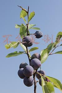 cad不能复制粘贴