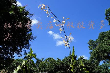 现在投资红酒庄大概多少钱，开个红酒庄要多少钱