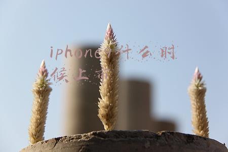 iphone9和10为什么跳过(iPhone 13升级功能大汇总，让你一次性看个够)