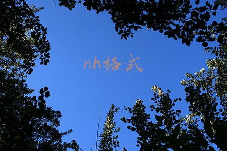 nh格式