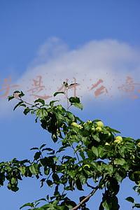 股市多头是什么意思(股市中的“死多头”是什么意思？)