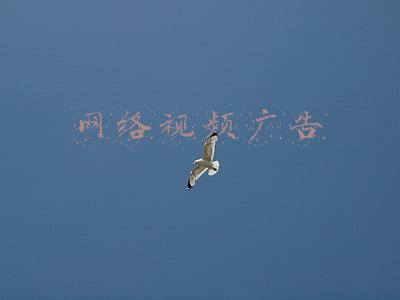 网络视频广告的优势以及受企业主喜欢的原因(火车站广告投放有哪些优势 别说你不知道哦)