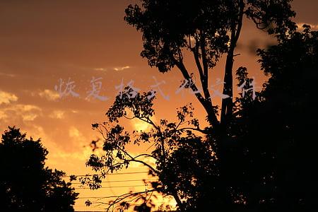 恢复格式化文件