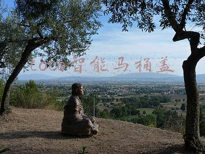 toto智能马桶盖