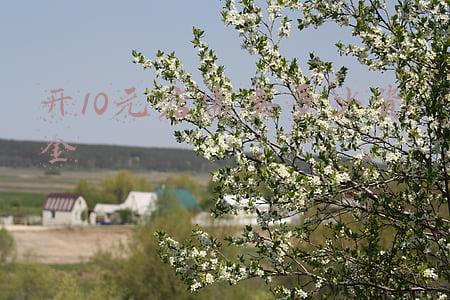 开10元店需要多少资金