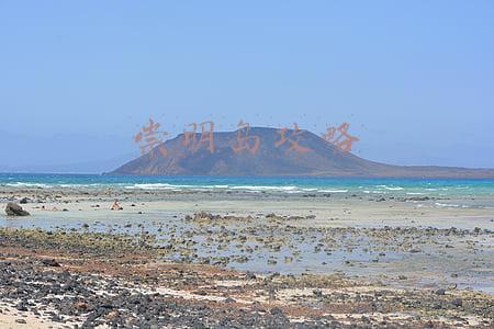 崇明岛攻略