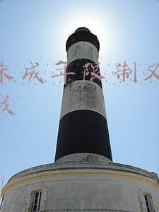 没有未成年限制又好玩的游戏