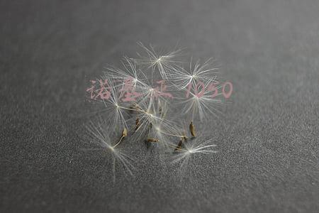 诺基亚1050怎么插卡(诺基亚215来了 299元人气低端机多图欣赏)