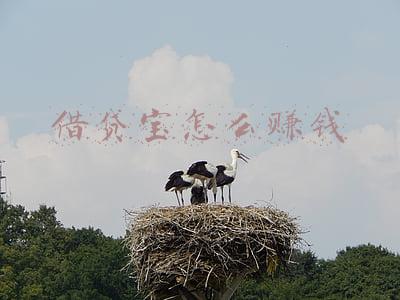 借贷宝怎么赚钱